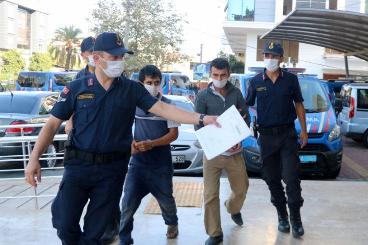 Avokado hırsızı 2 kardeş, çaldıklarını satamadan yakalandı