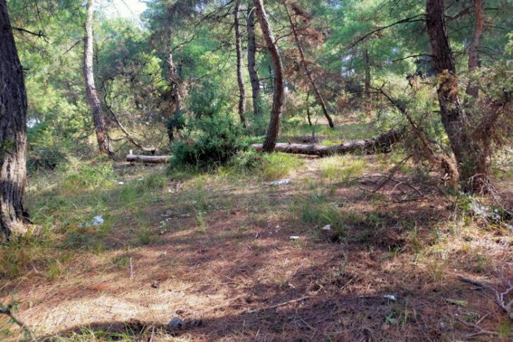 Bursa'da birçok suç kaydı olan oğlunu öldüren baba: Başkasına zarar vermesin diye yaptım