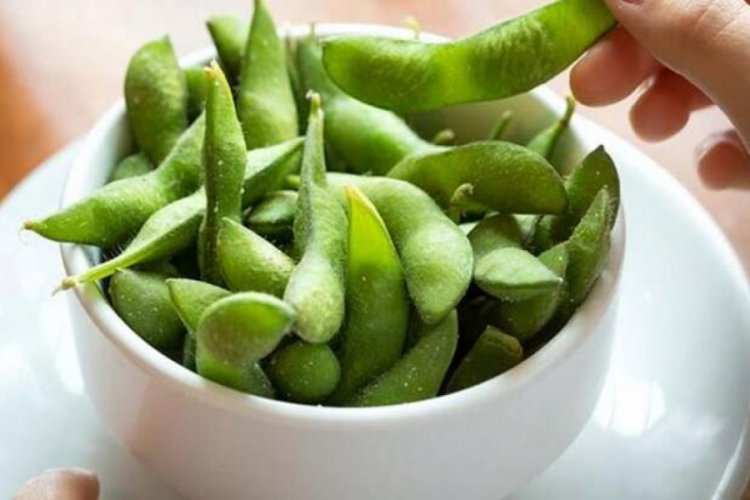 Soya fasulyesi ihracatı 9 ayda yaklaşık 2,5 kat arttı