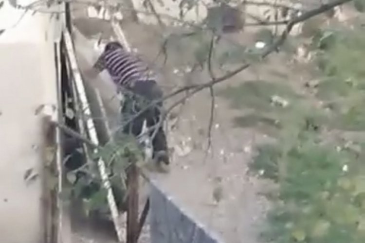 Kümesine giren köpeği sopa ile dövdü