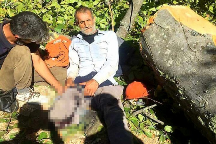 Bursa'da tomruğun altında kalan orman işçisi, bacağını kaybetti