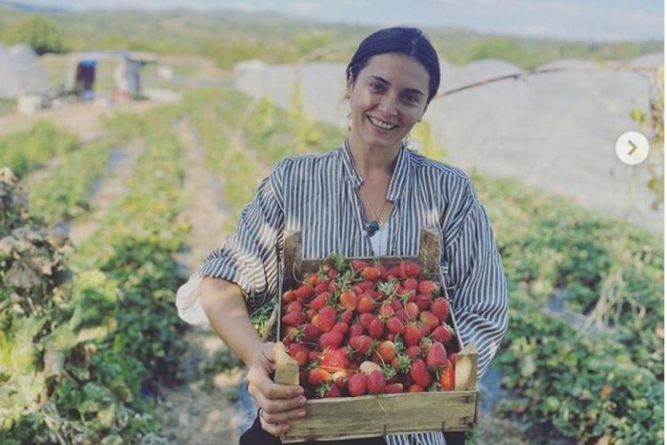 Çilekler Aslıhan Gürbüz'den