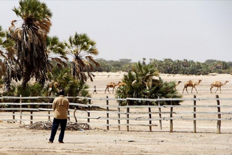 Güney Afrika'da 'beyaz' çiftçi gerginliği