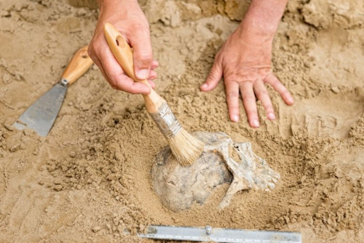 İklim değişikliği on binlerce yıl önce Neandertalleri yok etti, sıra insanlarda