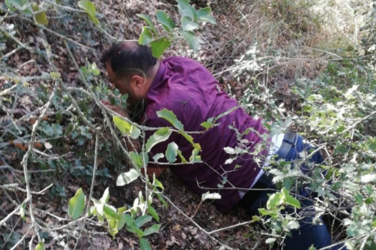 Örgüt lideri 1 yıldır saklandığı ormanda yakalandı
