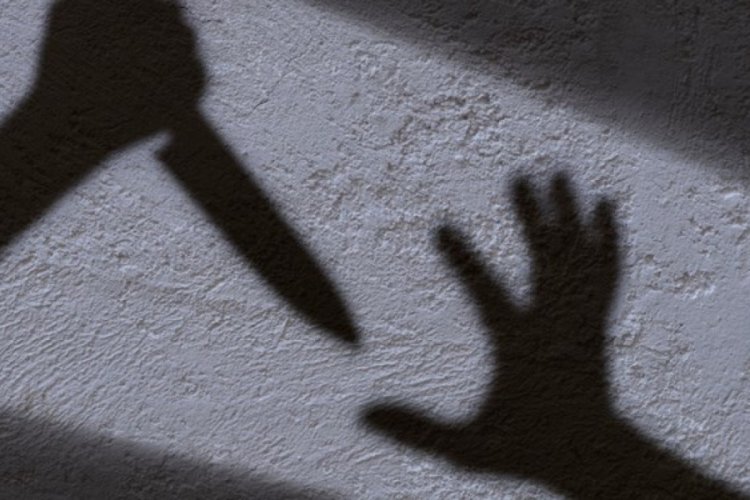 İş görüşmesi için gittiği şirketin müdürünü öldürdü