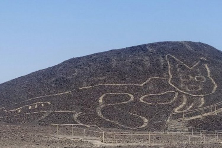Peru'da arkeologlar bir yamaca çizilmiş 2 bin yıllık kedi figürü keşfetti