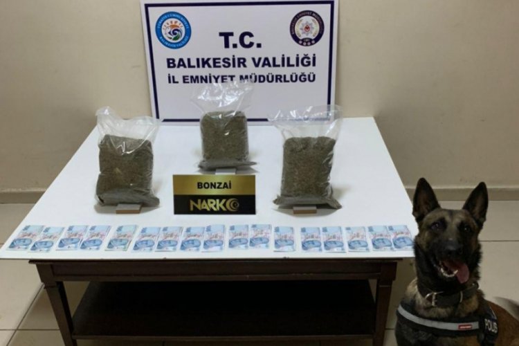 Balıkesir'de uyuşturucu operasyonu