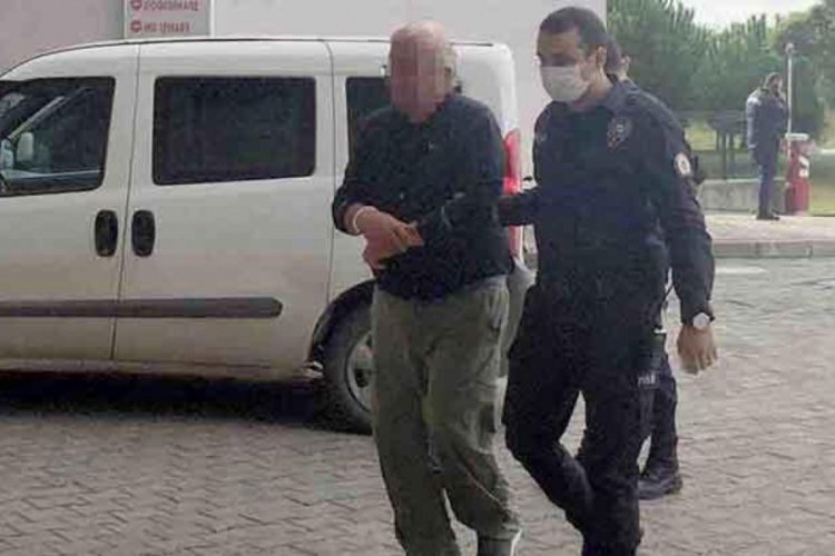 Ressam, resimlerine bakan genç kızı taciz etti iddiası!