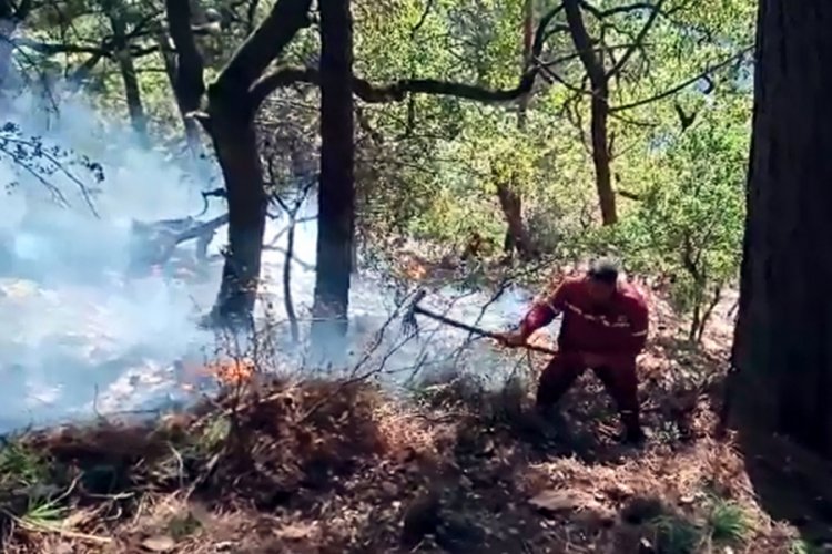 Kahramanmaraş'ta 1 hektar ormanlık alan yandı