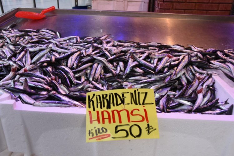 Hamsinin kilosu 50 liraya çıktı