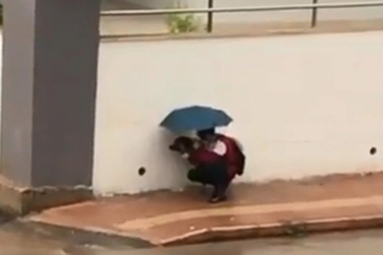 Şemsiyesiyle sokak köpeğini yağmurdan korudu