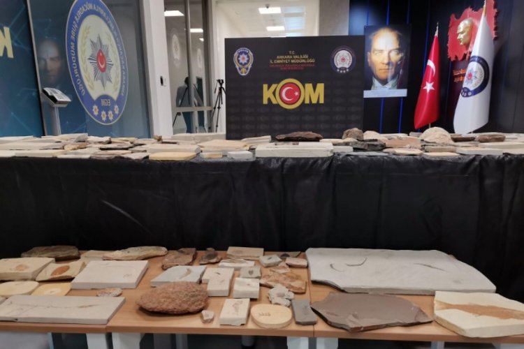 Adnan Oktar'ın kaçak fosilleri, MTA Müzesi'ne teslim edildi