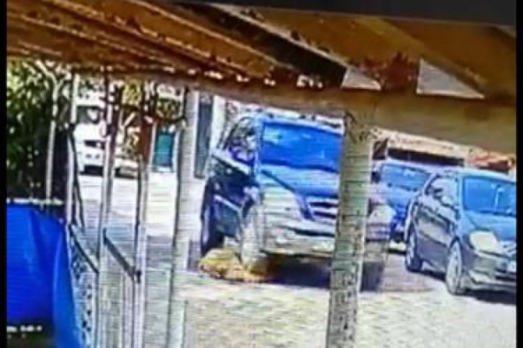 Köpeği ezip yoluna devam eden cip sürücüsüne mahalleliden tepki