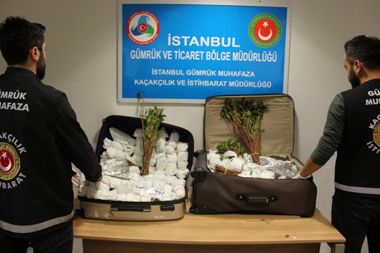 İstanbul Havalimanı'nda 208 kilogram Khat cinsi uyuşturucu ele geçirildi
