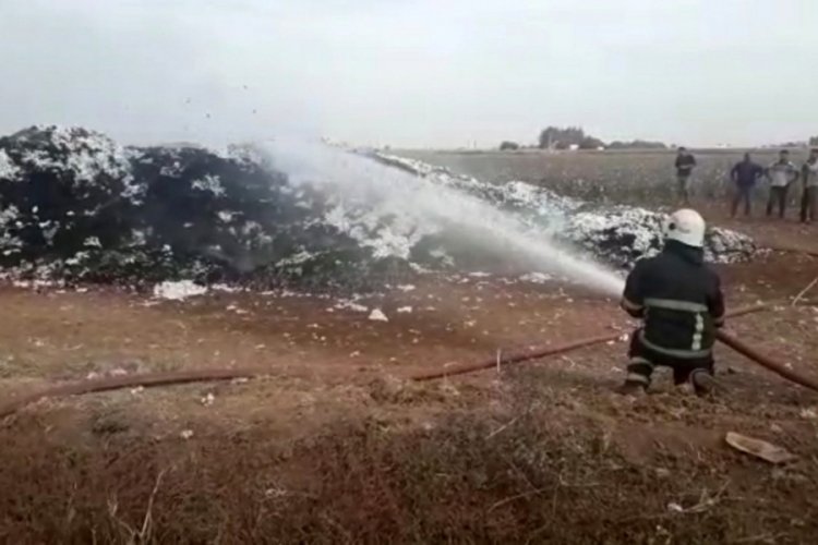 Pamuk yığını alev alev yandı