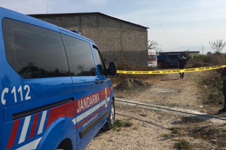Aile arasında ağaç kesme kavgası: 2 ölü
