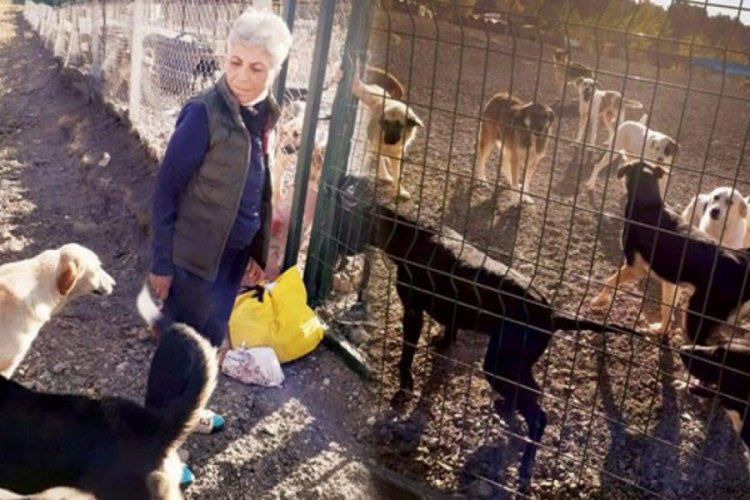 ''İki günlük mama stokumuz kaldı''