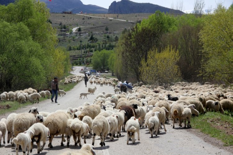 Doğu Anadolu'daki göçerler dönüş yolunda