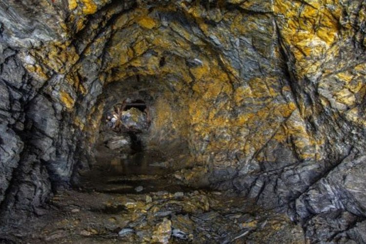 TMSF Başkanı Gülal'dan altın rezervi müjdesi