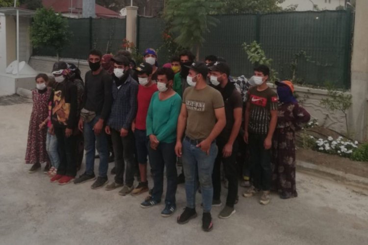 15 kişilik minibüsten 27 kişi çıktı