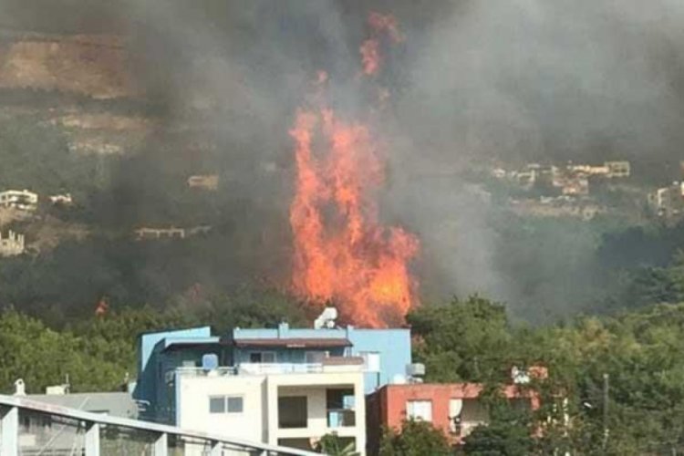 Hatay ve Mersin'deki yangınlarla ilgili AFAD'dan açıklama