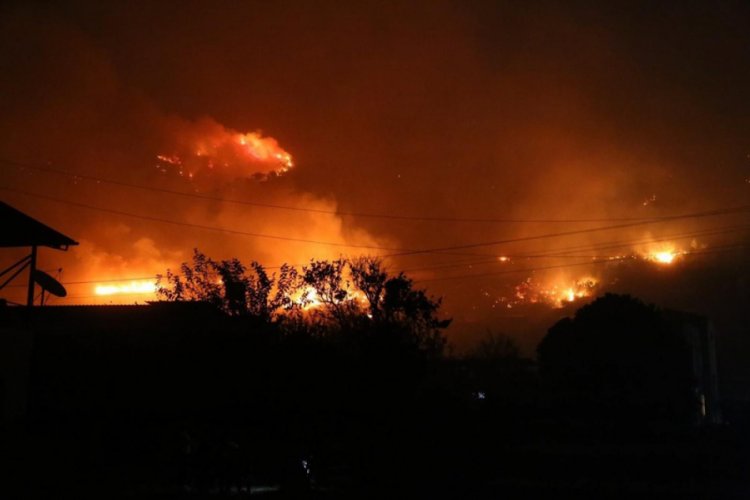 Bakan Pakdemirli'den Hatay'daki yangınla ilgili açıklama