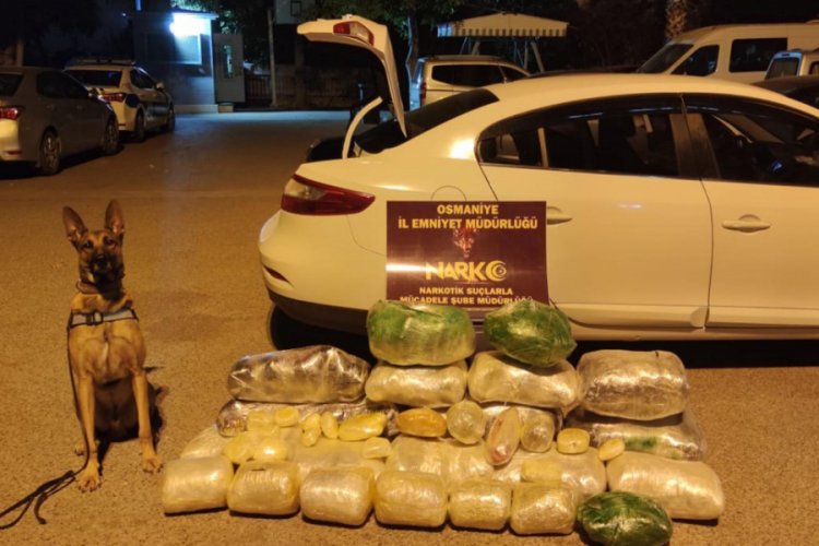 Otomobildeki valizlerden 76 kilo esrar maddesi ele geçirildi