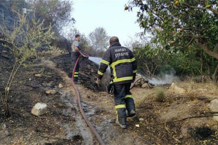 Hatay'da bahçede çıkan yangın arı kovanlarına zarar verdi