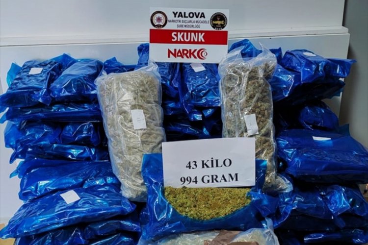 Sınırda uyuşturucu operasyonu