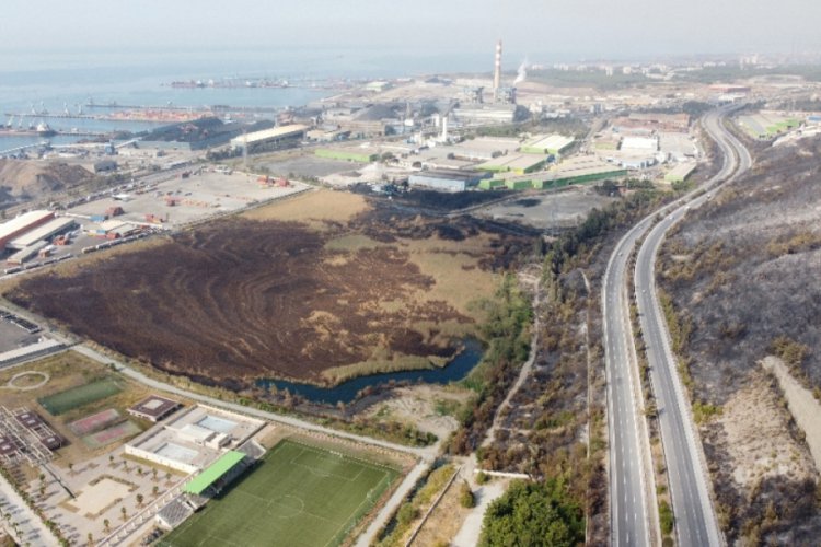 İskenderun'da 55 dönümlük kuş cenneti de kül oldu