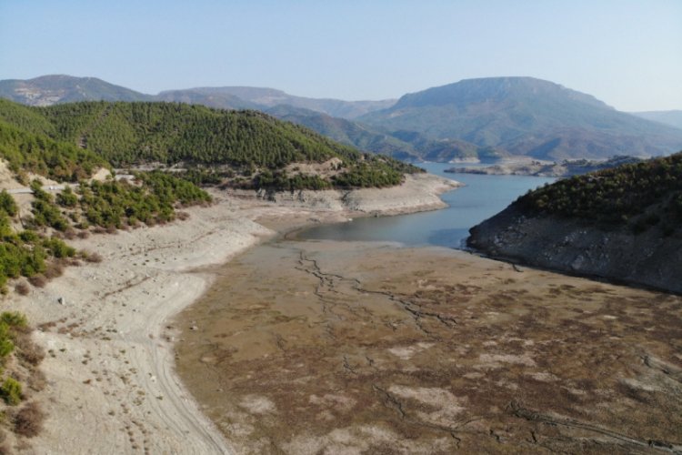 Altınkaya Barajı'nda korkutan görüntü