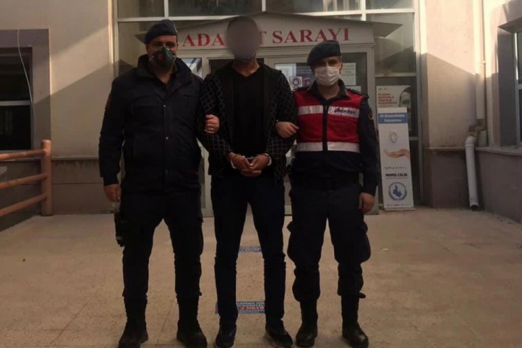 Jandarma hırsızlık şebekesini çökertti