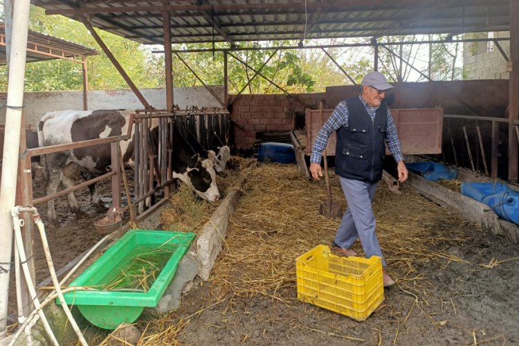Bursa'da çiftçiler zor durumda! (ÖZEL HABER)