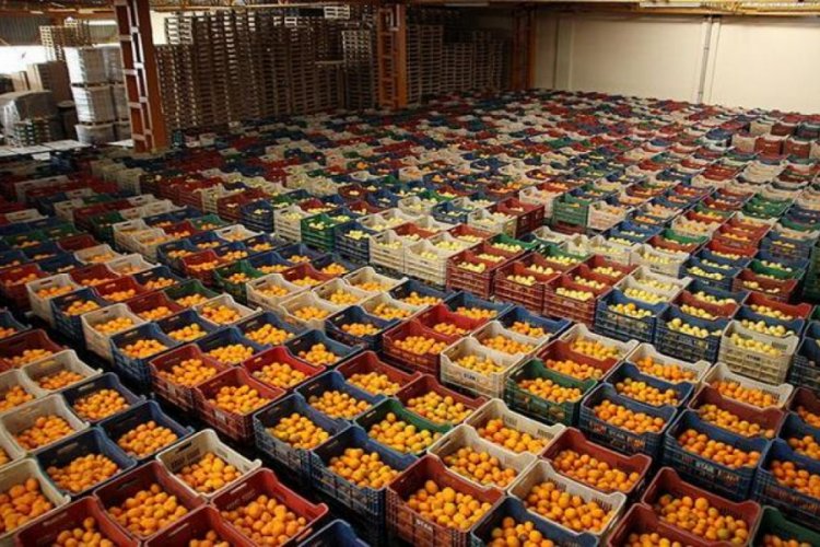 Türkiye'nin yaş meyve ve sebze ihracatında ekim ayında yüzde 18 artış