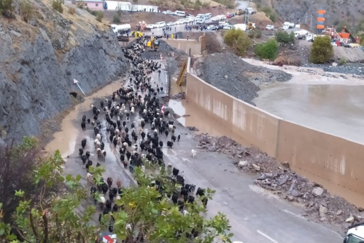 Hakkari'de sağanak, sele neden oldu
