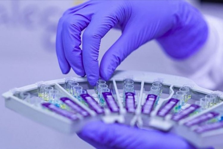 Alman hükümeti corona virüs aşısını yakında bekliyor