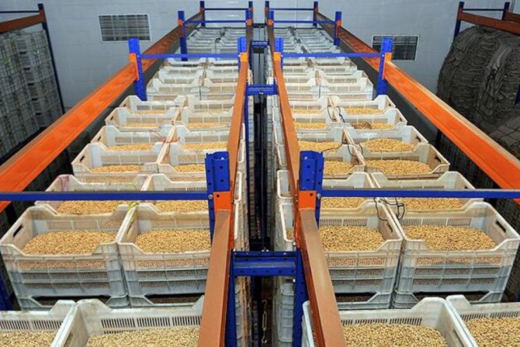 Türkiye'den 5,9 milyar dolarlık hububat ve bakliyat ihracatı