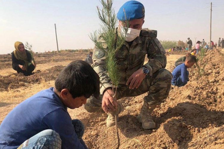 Tel Abyad'da Mehmetçik Parkı'na 9 bin 700 fidan dikildi