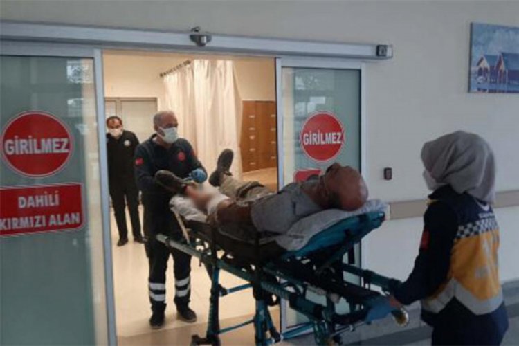 'Hayvanlara yem verme' kavgası: 2 yaralı