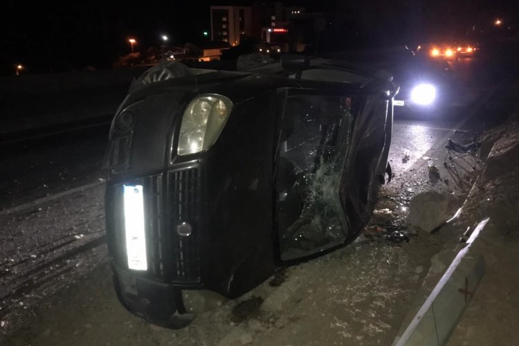 Domuza çarpan araç takla attı