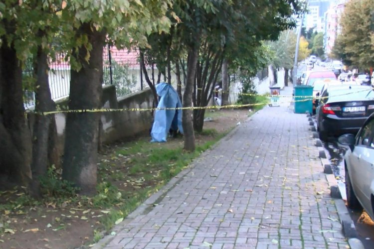 Ağaca asılı erkek cesedi bulundu