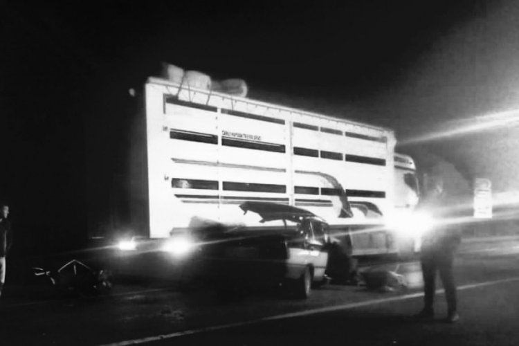 Bingöl'de trafik kazası: 1 ölü