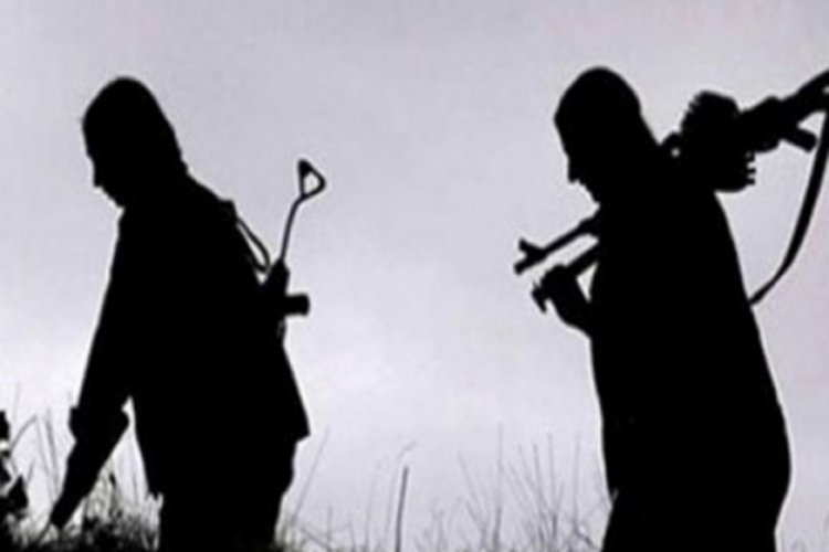 Şırnak'ta 1'i gri kategoride aranan 2 terörist ikna sonucu teslim oldu