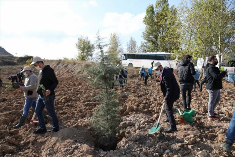 Bursa İnegöl'de 2 bin fidan toprakla buluştu