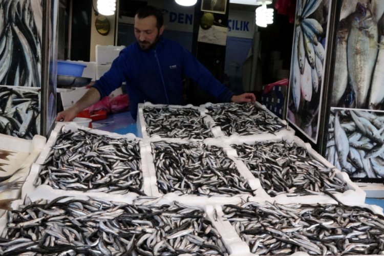 Tezgahlarda palamudun yerini hamsi aldı