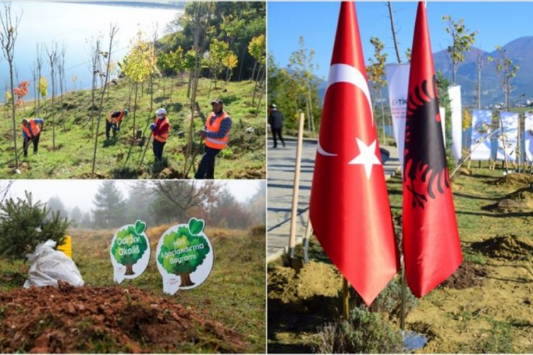 KKTC, Azerbaycan, Bosna Hersek ve Arnavutluk'ta binlerce fidan toprakla buluştu