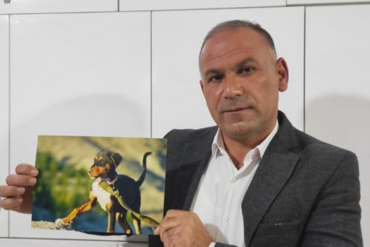Köpeğini bulana arabasını hediye edecek