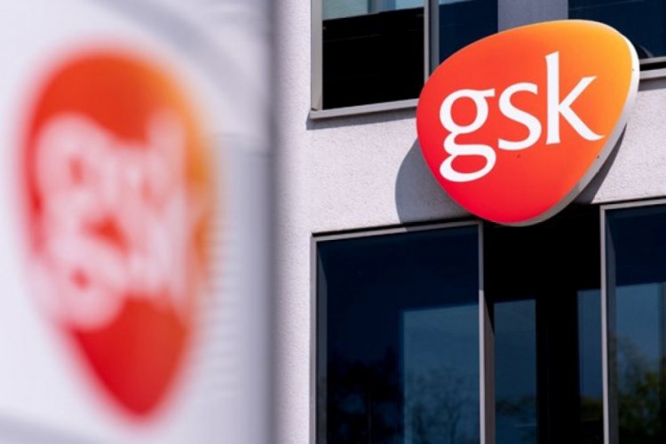 Medicago ve GSK geliştirdikleri aşıyı 30 bin gönüllü üstünde test edecek
