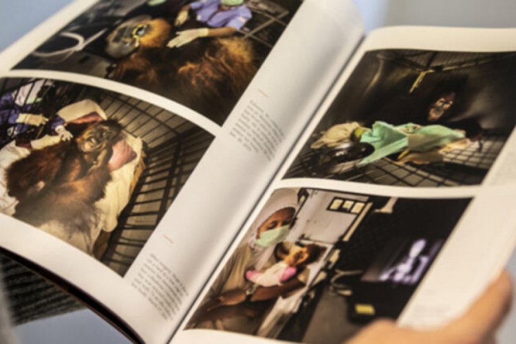 'Istanbul Photo Awards 2020' fotoğraf albümü yayınladı